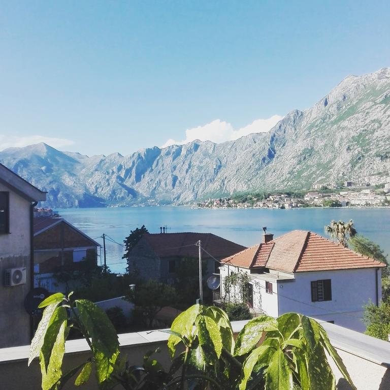 Apartmani Mizdrak Kotor Bagian luar foto